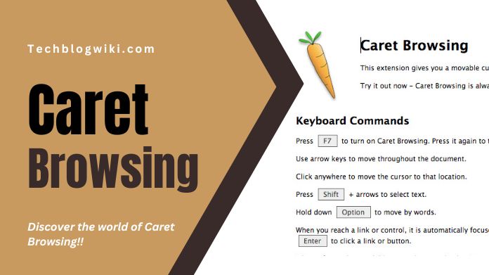 caret browsing